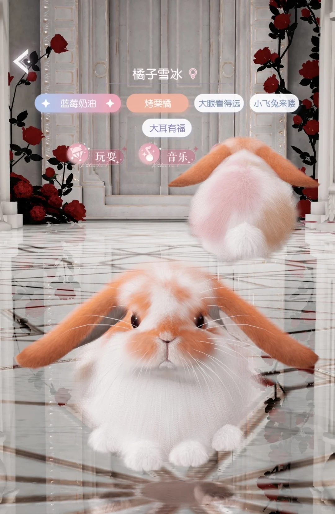 开脸非常萌的两只～