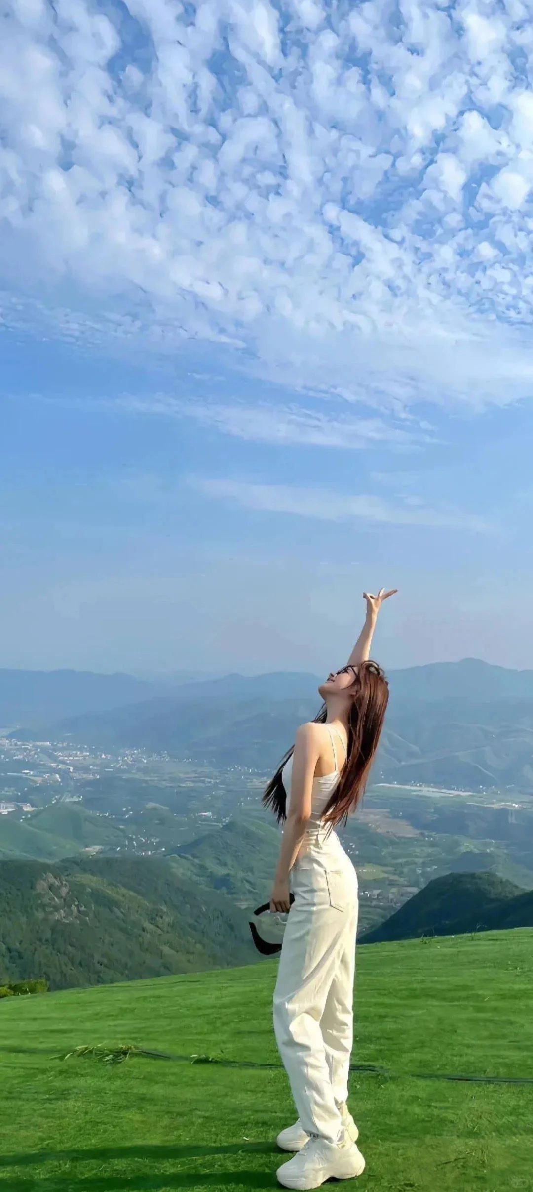 壁纸｜明媚自由系列