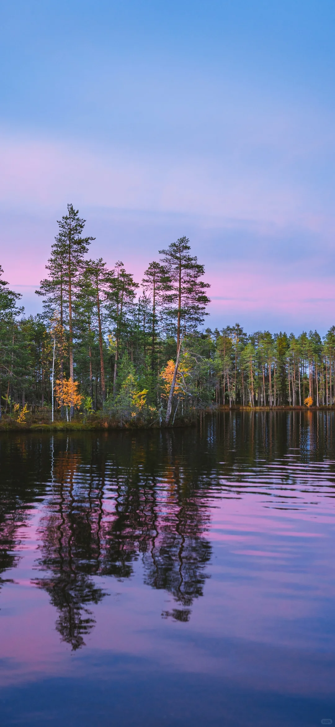 治愈系镜面湖壁纸✨