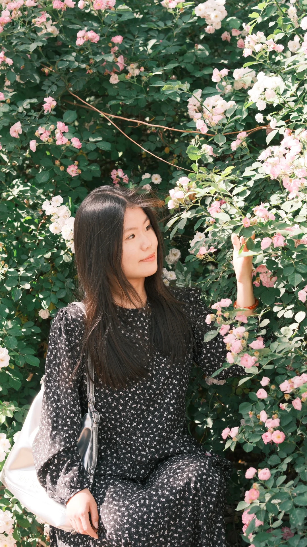 富士女摄约拍 | 她站在那里就好看🌸