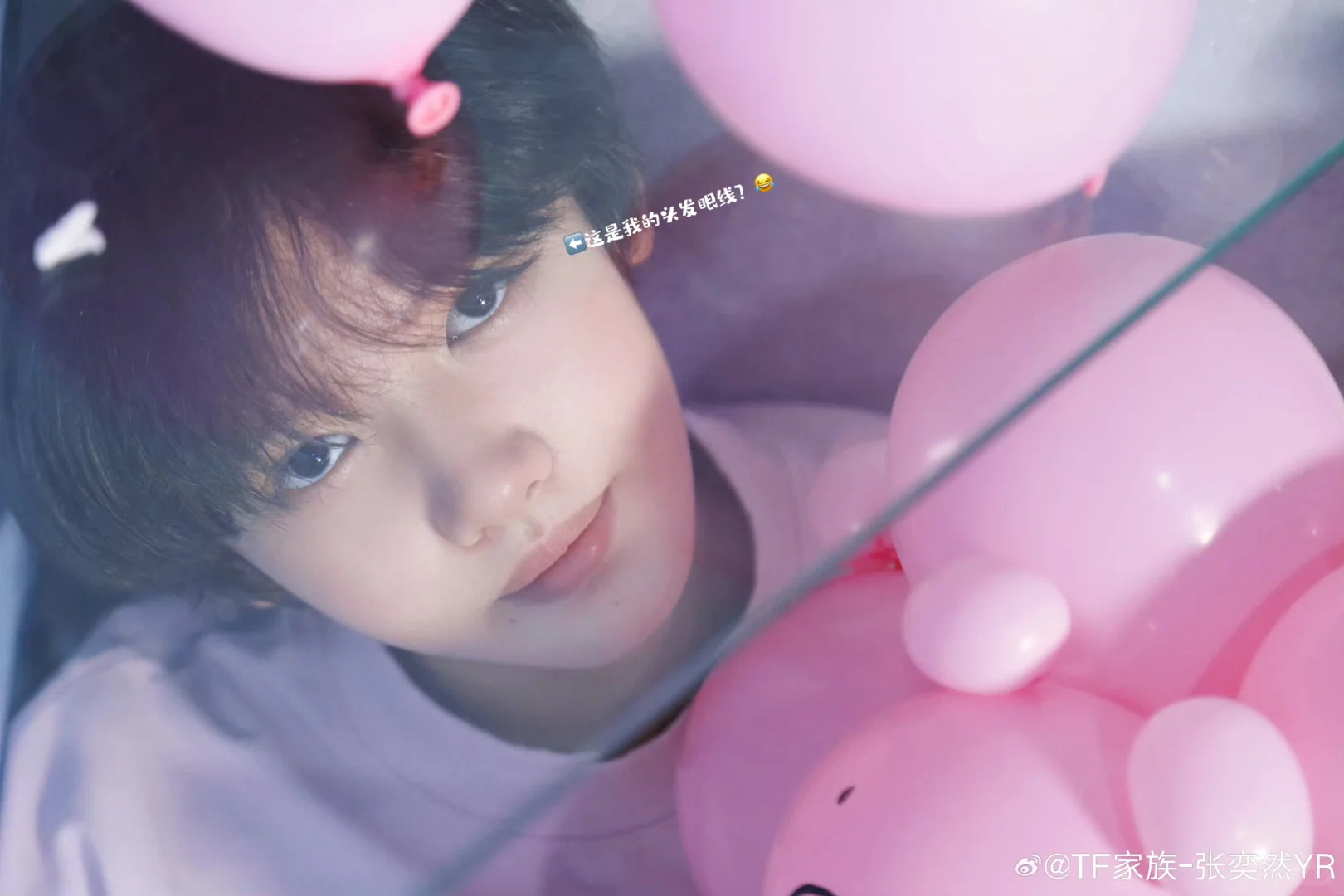 小猪的奇思妙想