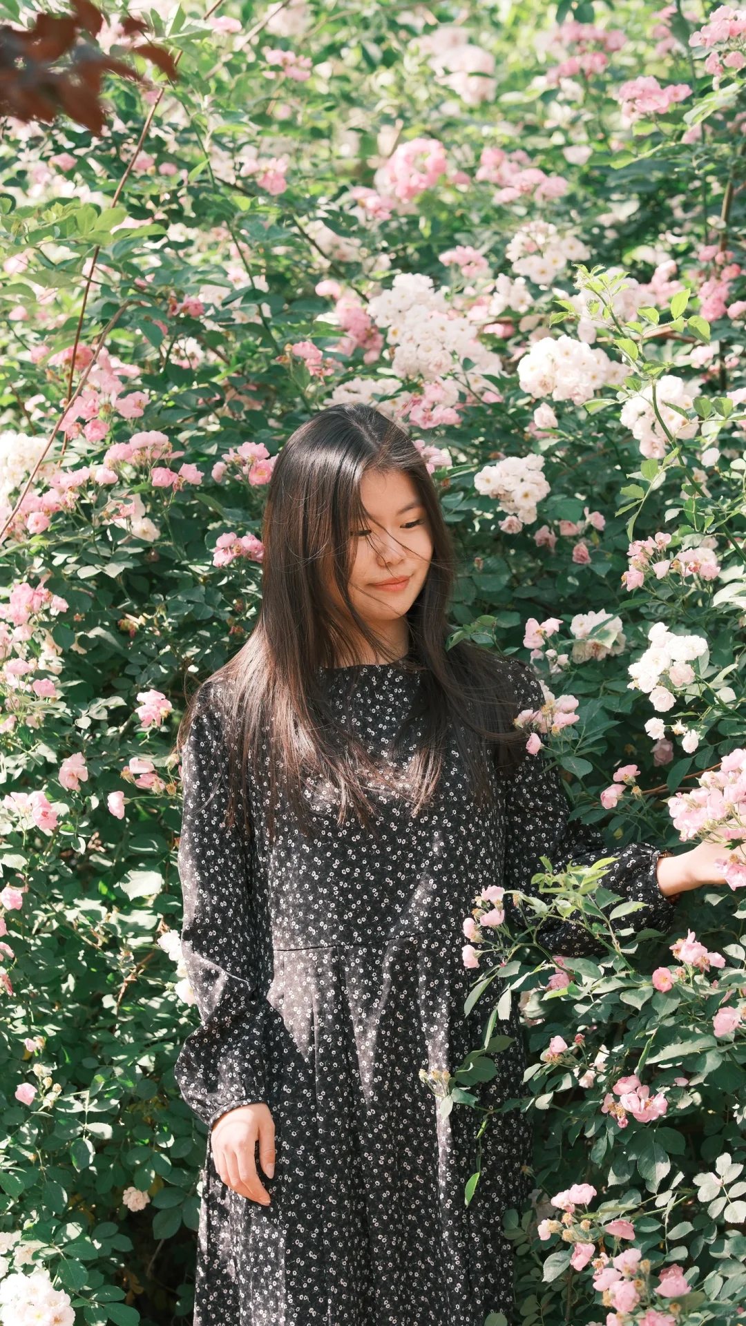 富士女摄约拍 | 她站在那里就好看🌸