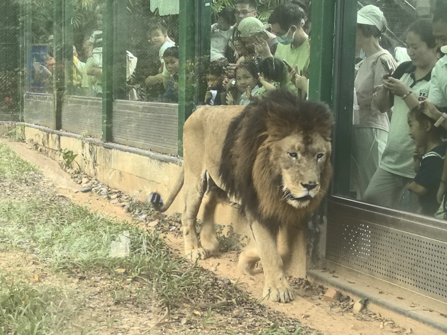广州动物园，20元永远的性价比
