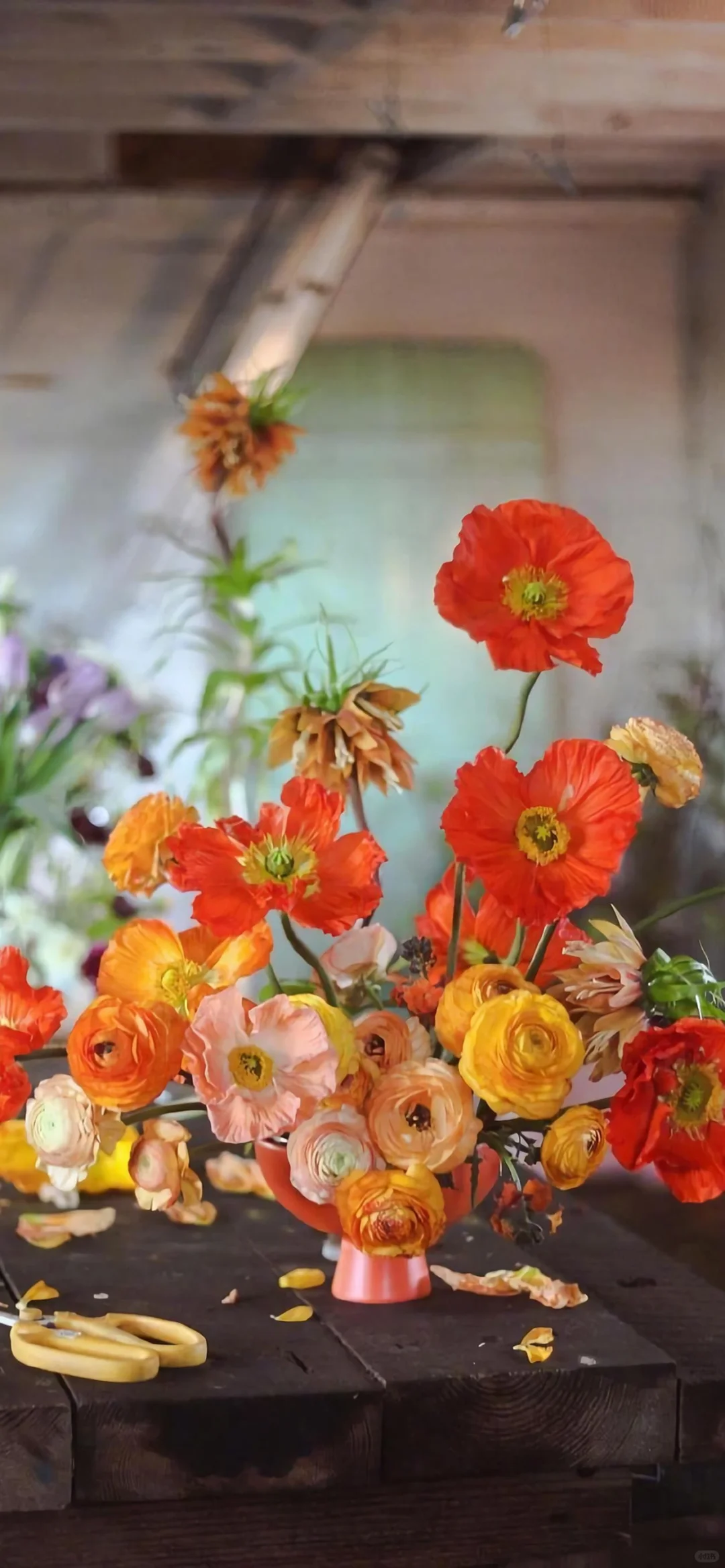 治愈系壁纸｜随风舞动，向阳而生