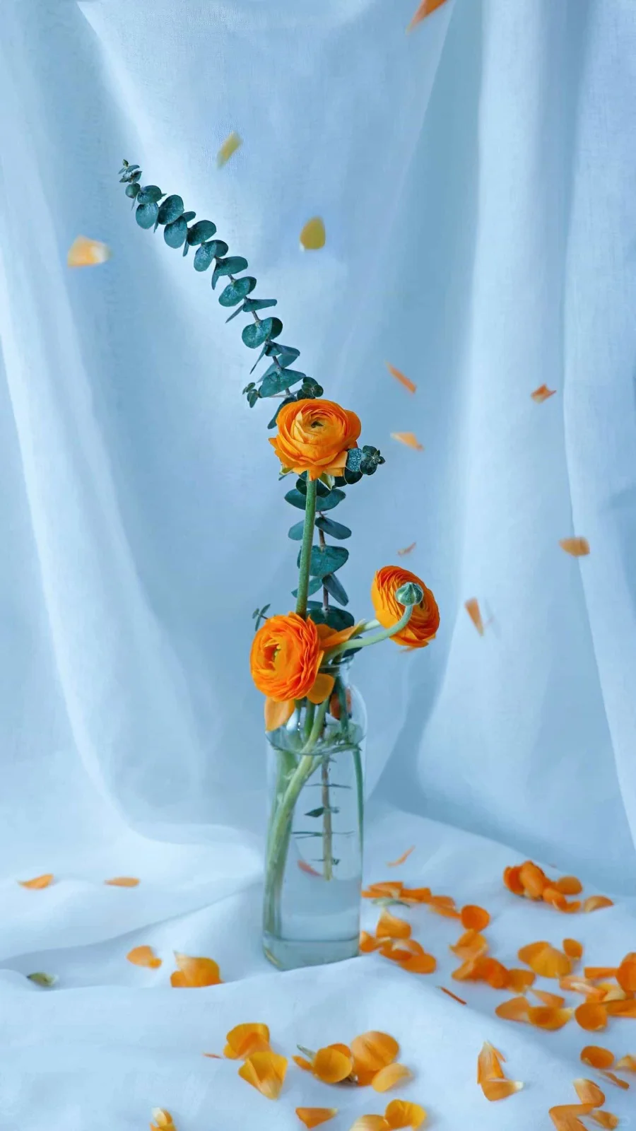 治愈系壁纸｜随风舞动，向阳而生