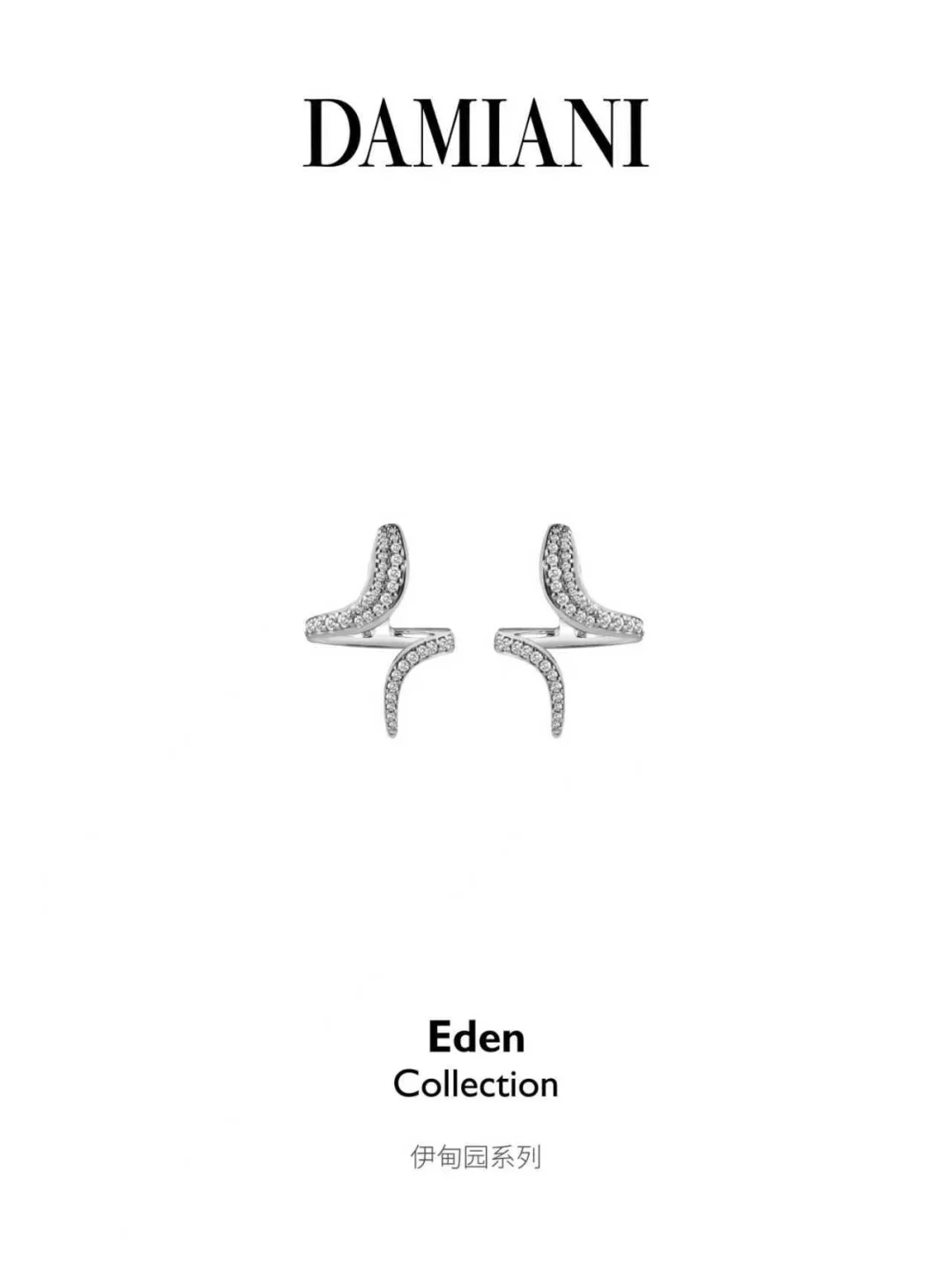 张淼怡 | 熠动灵蛇魅力