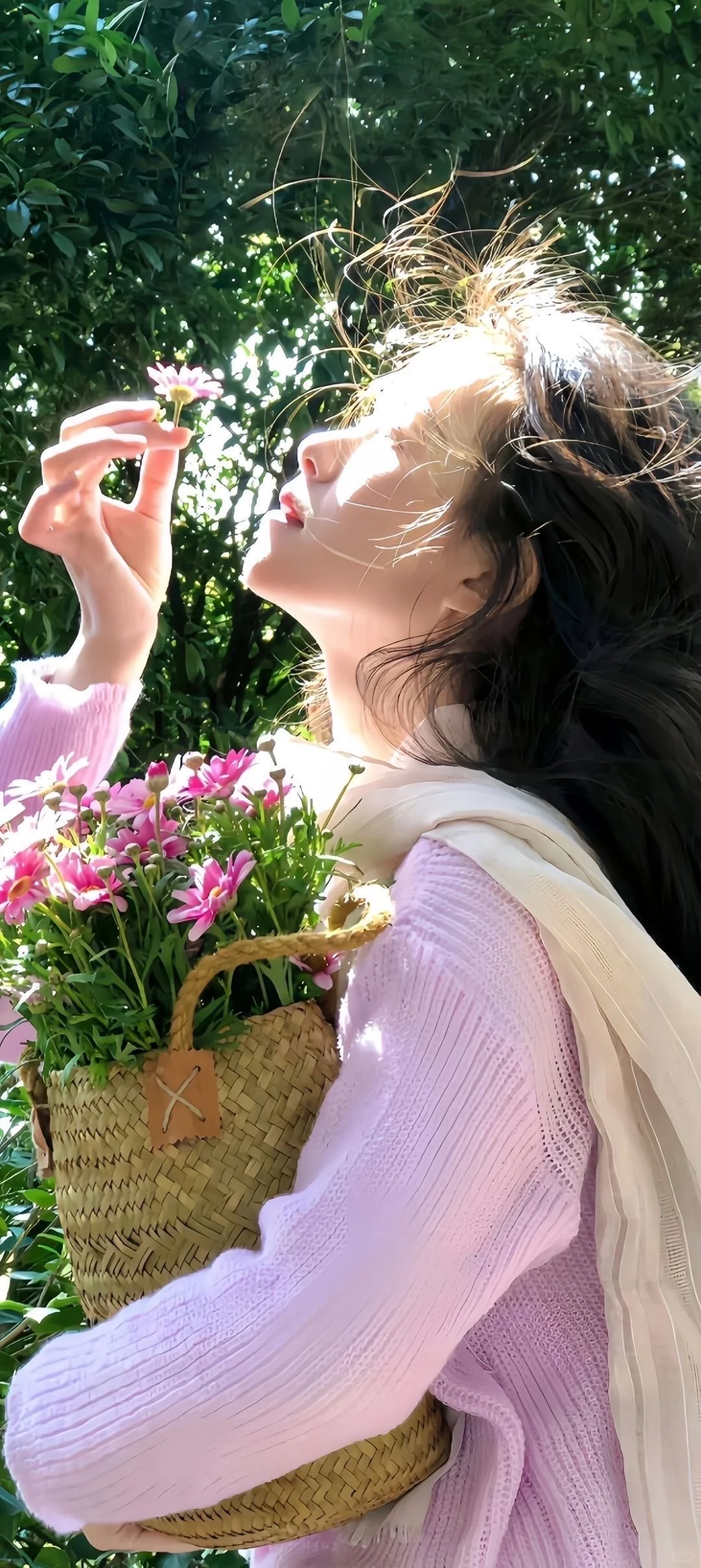 壁纸｜明媚自由系列