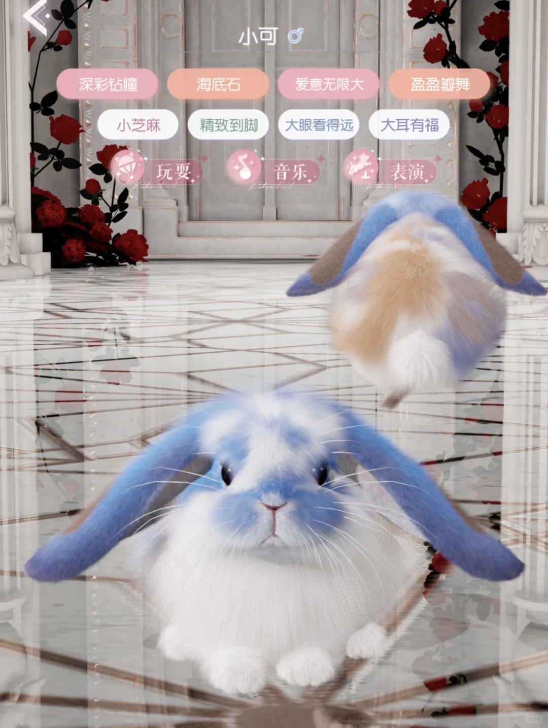 蹲阿尼亚初代碎花妹妹