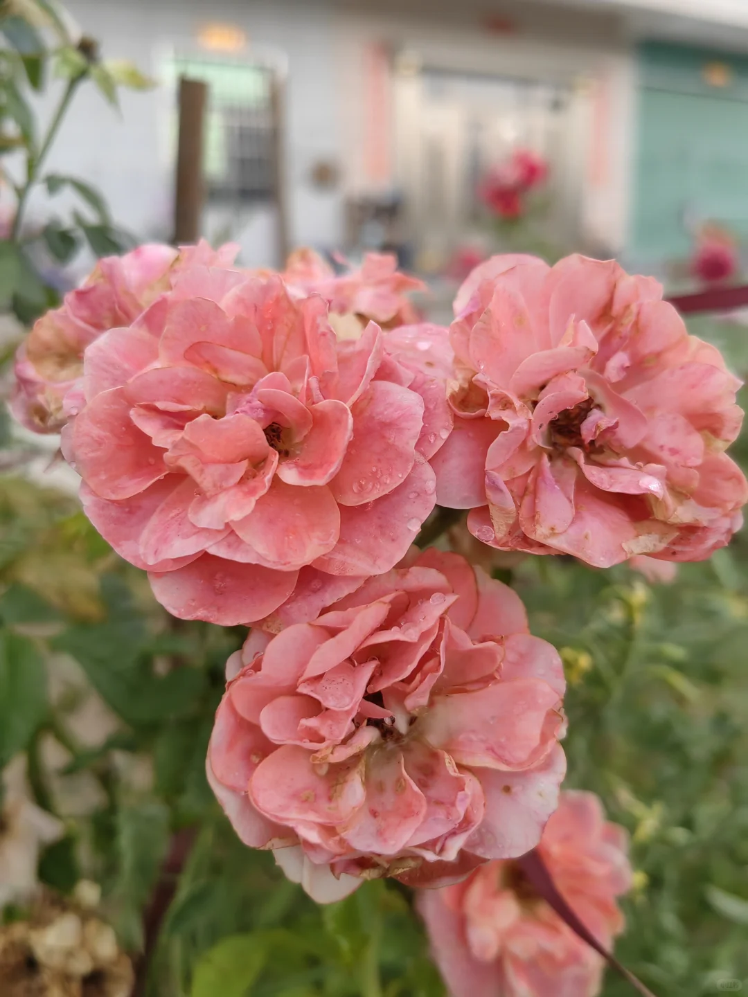 36岁，姐姐这样，有人喜欢嘛？