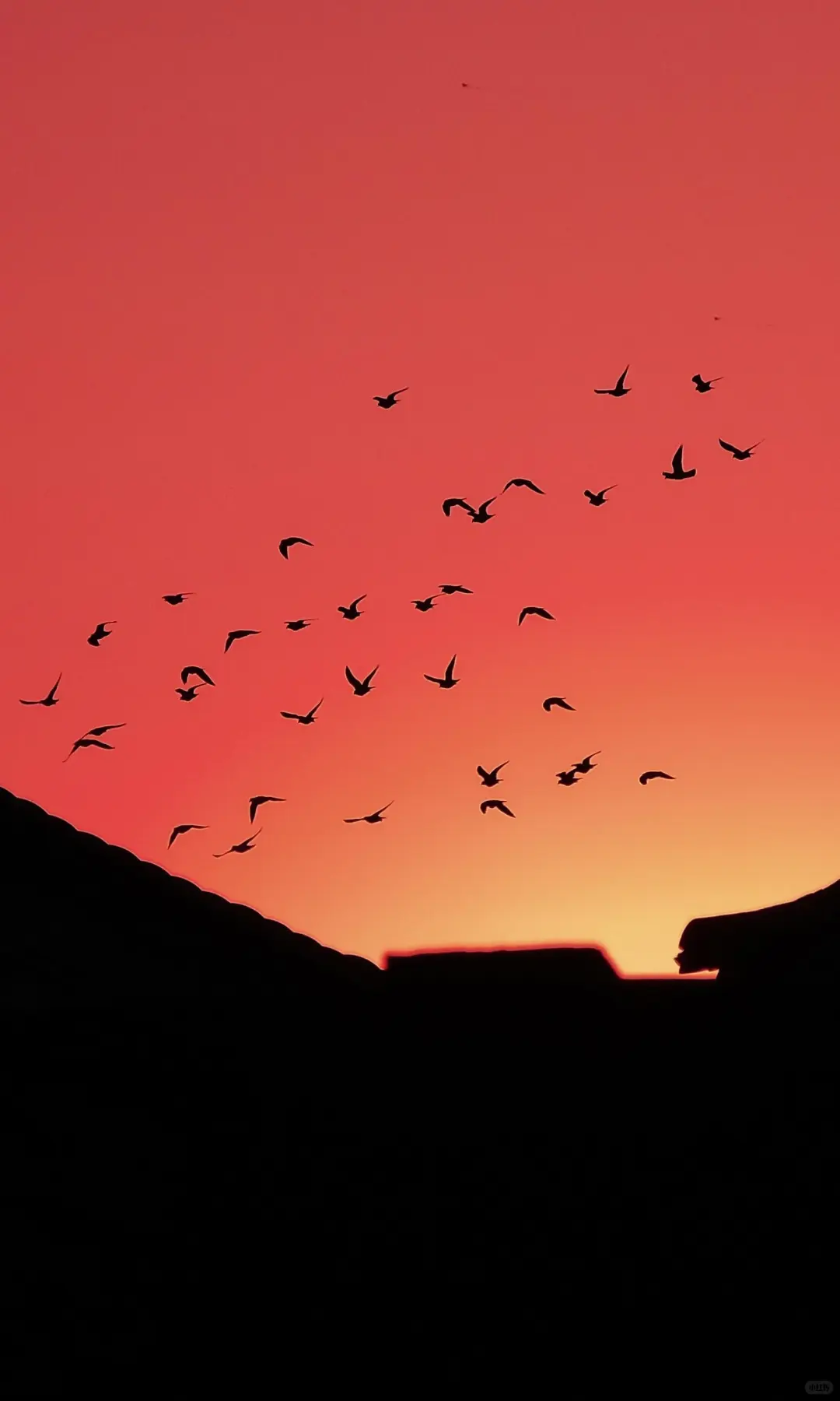 分享一组超治愈系风景壁纸！