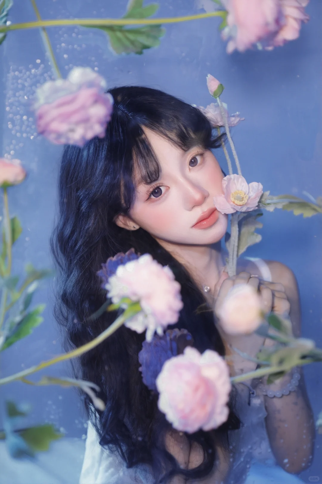 武汉氛围感花朵写真🌸