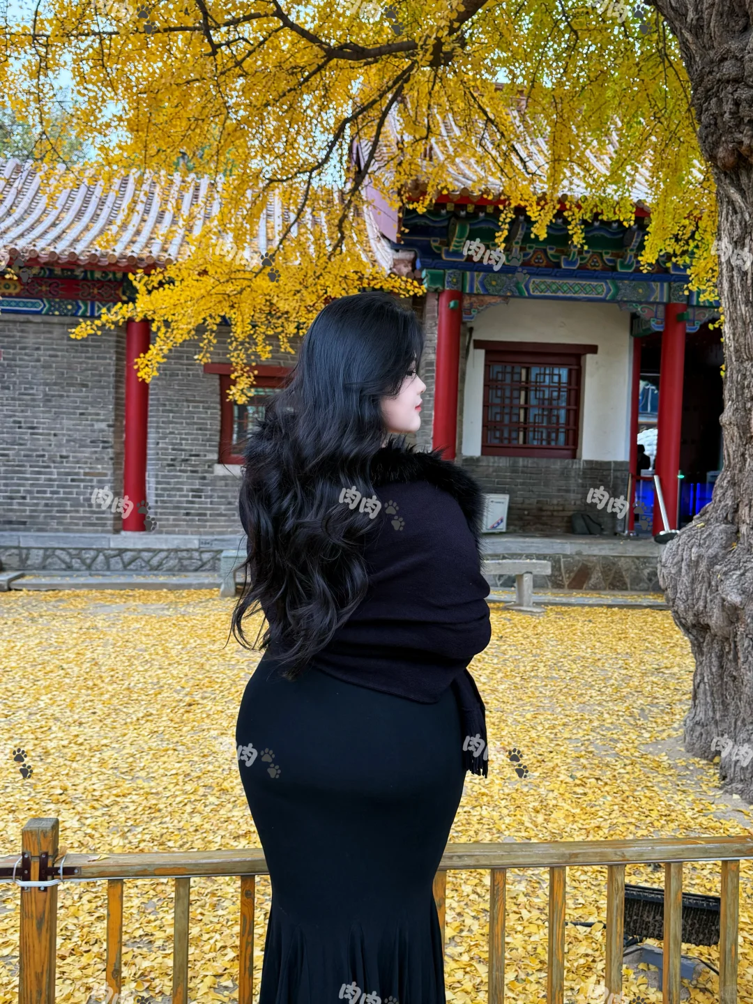 180斤｜媚 明媚的媚 妩媚的媚