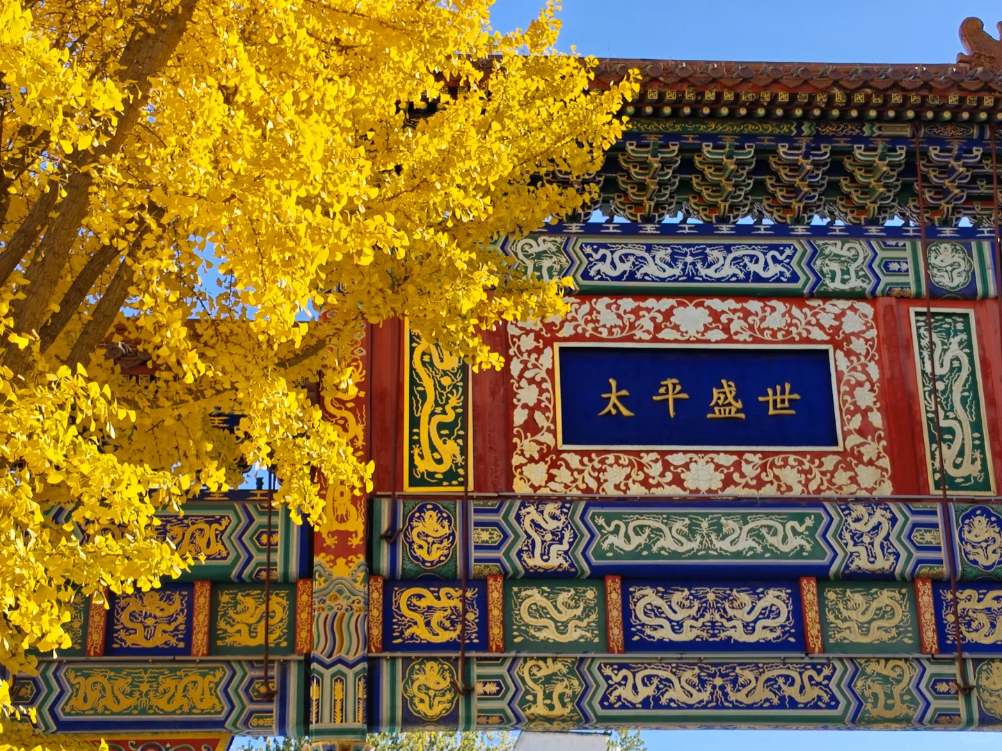 在小西天看新龙门客栈