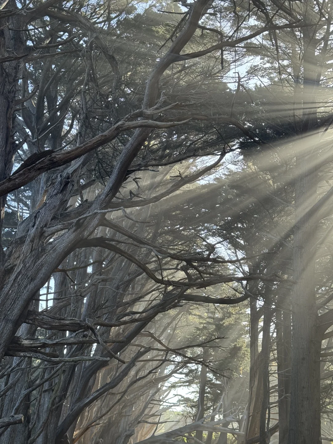 找衣服即找自己