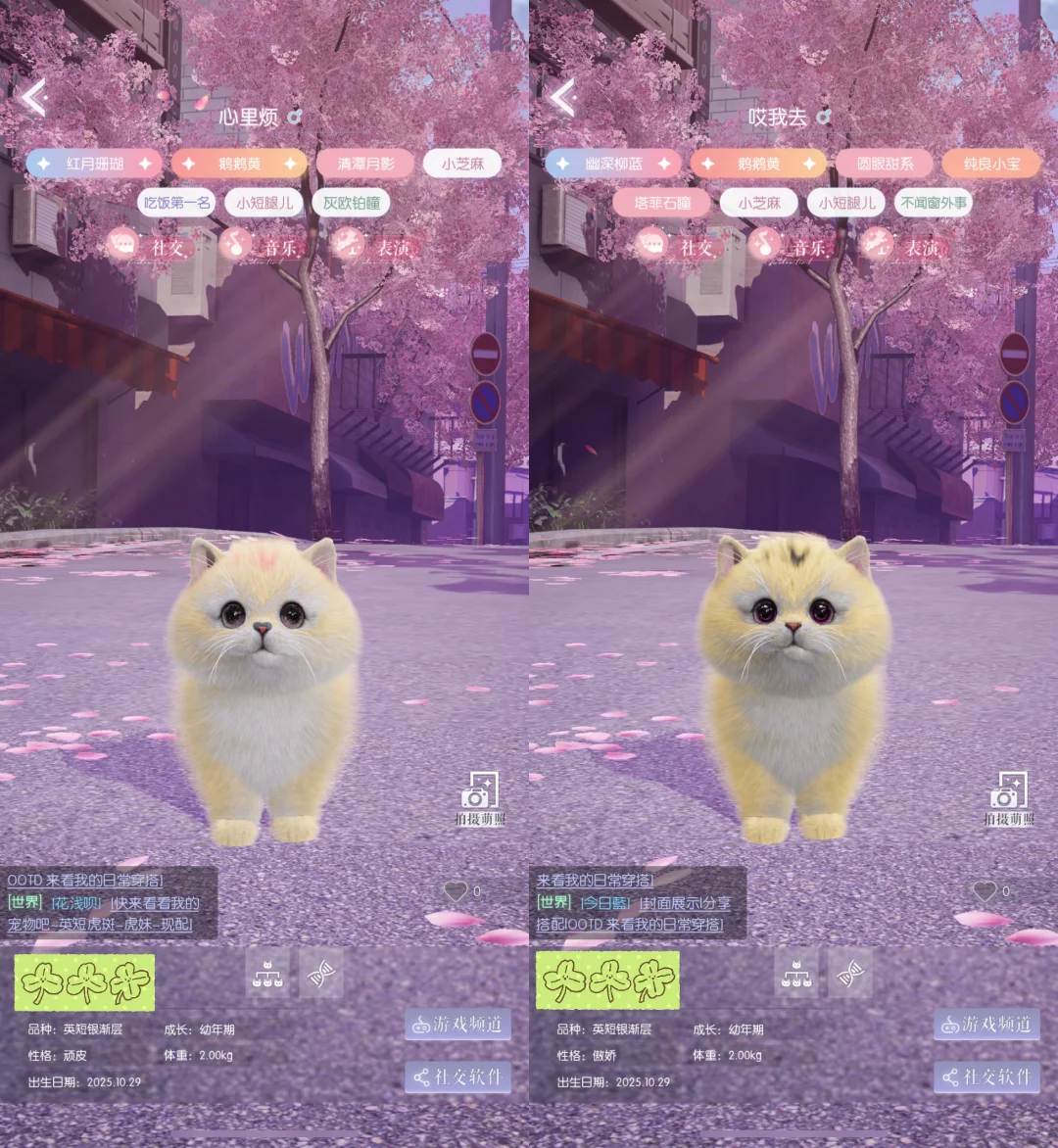 是怎么一天内能来两个脏底鹅鹅黄的...