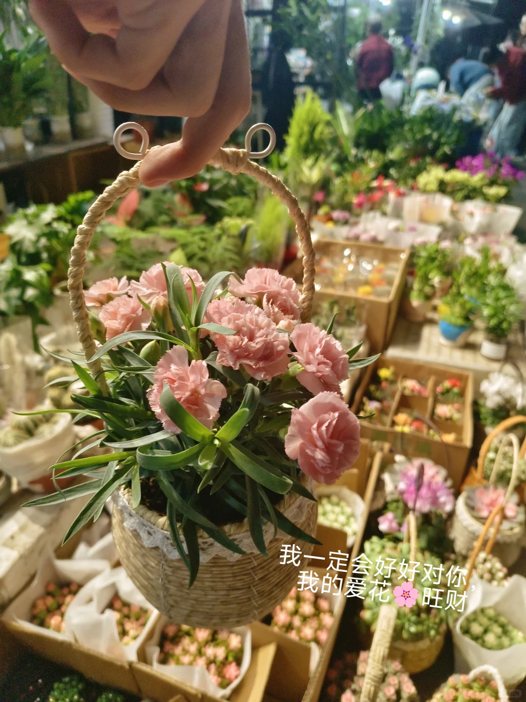 文科女研究生的丰满生活(二)