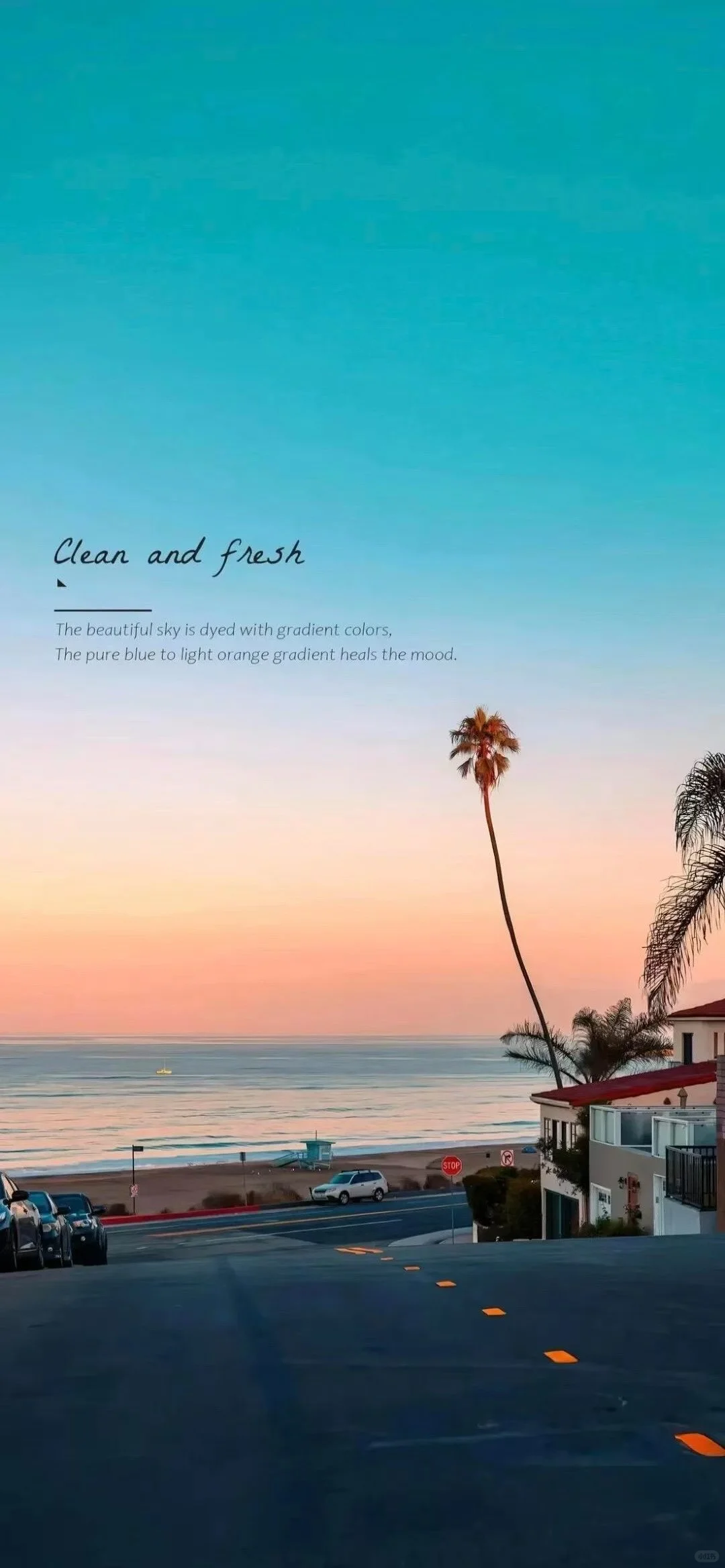 好看的壁纸分享给你