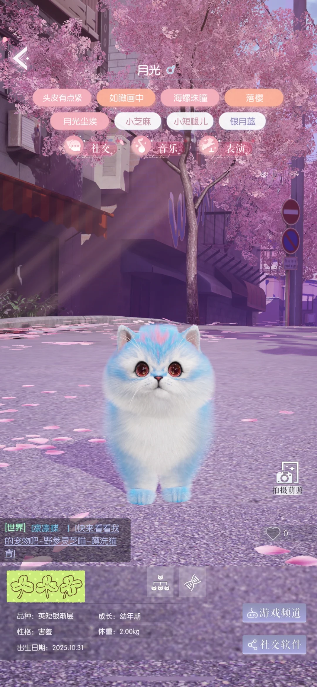 终于有月光啦！