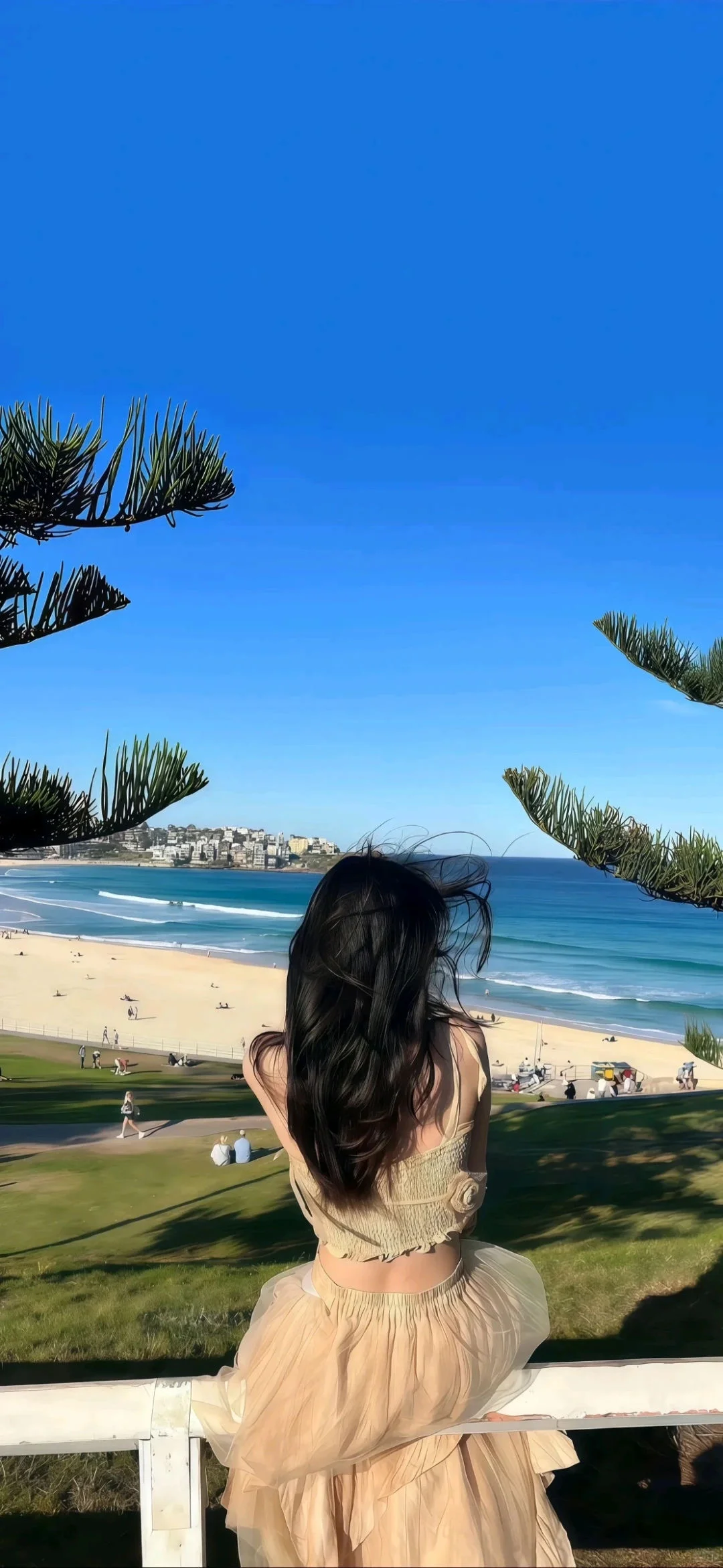 壁纸｜明媚自由系列