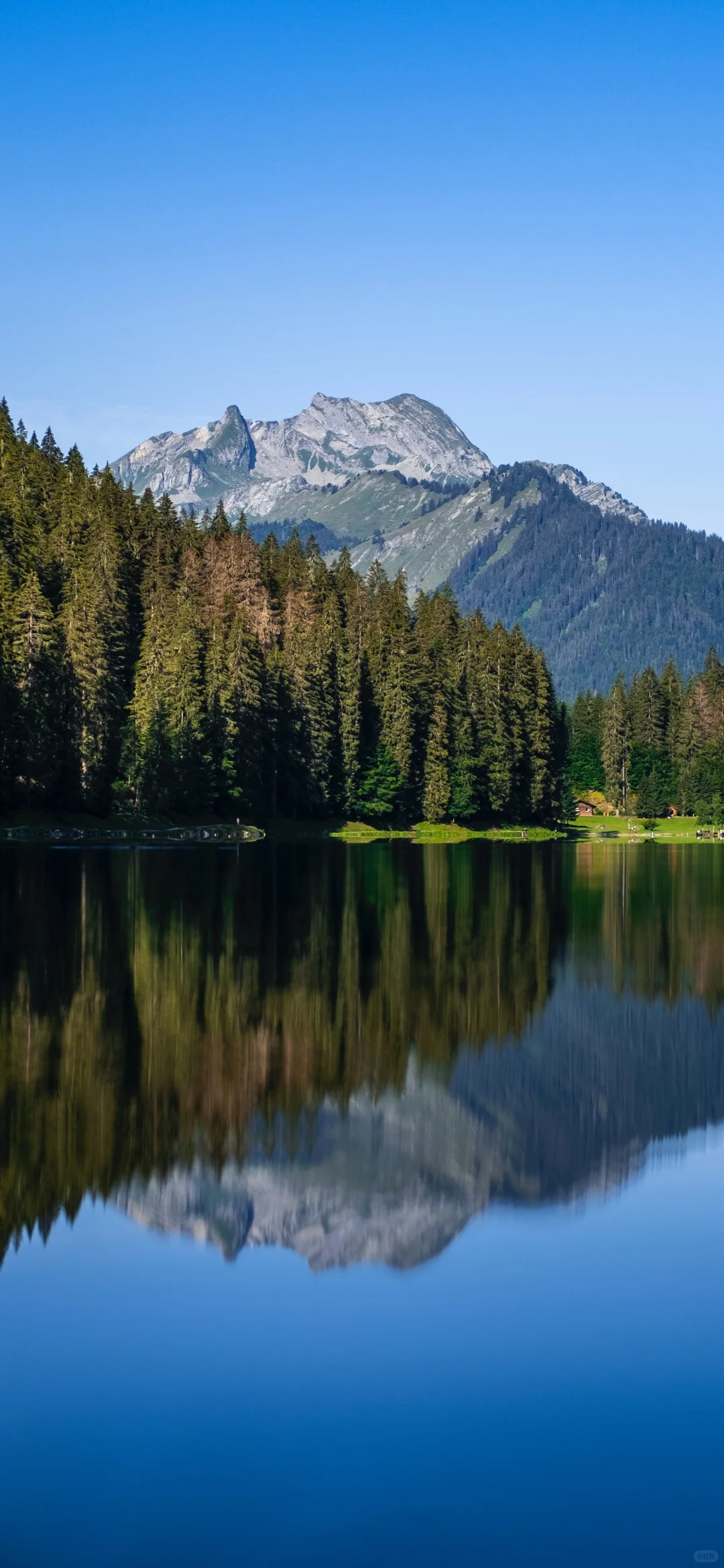 治愈系镜面湖壁纸✨