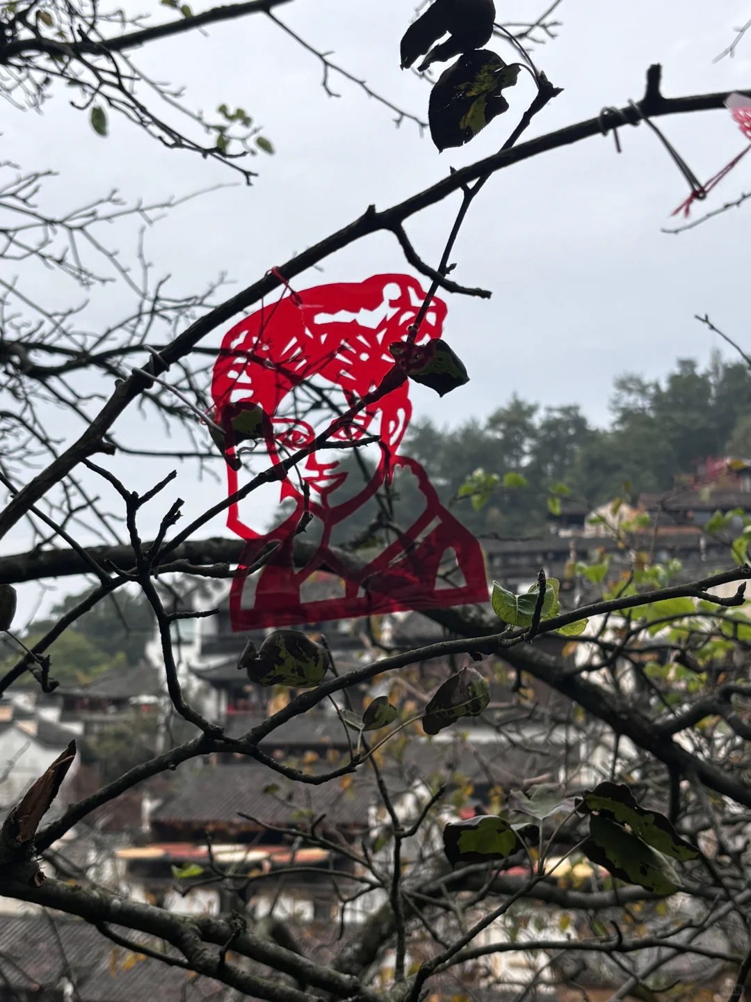 不做小公主，做一会农家女🍂