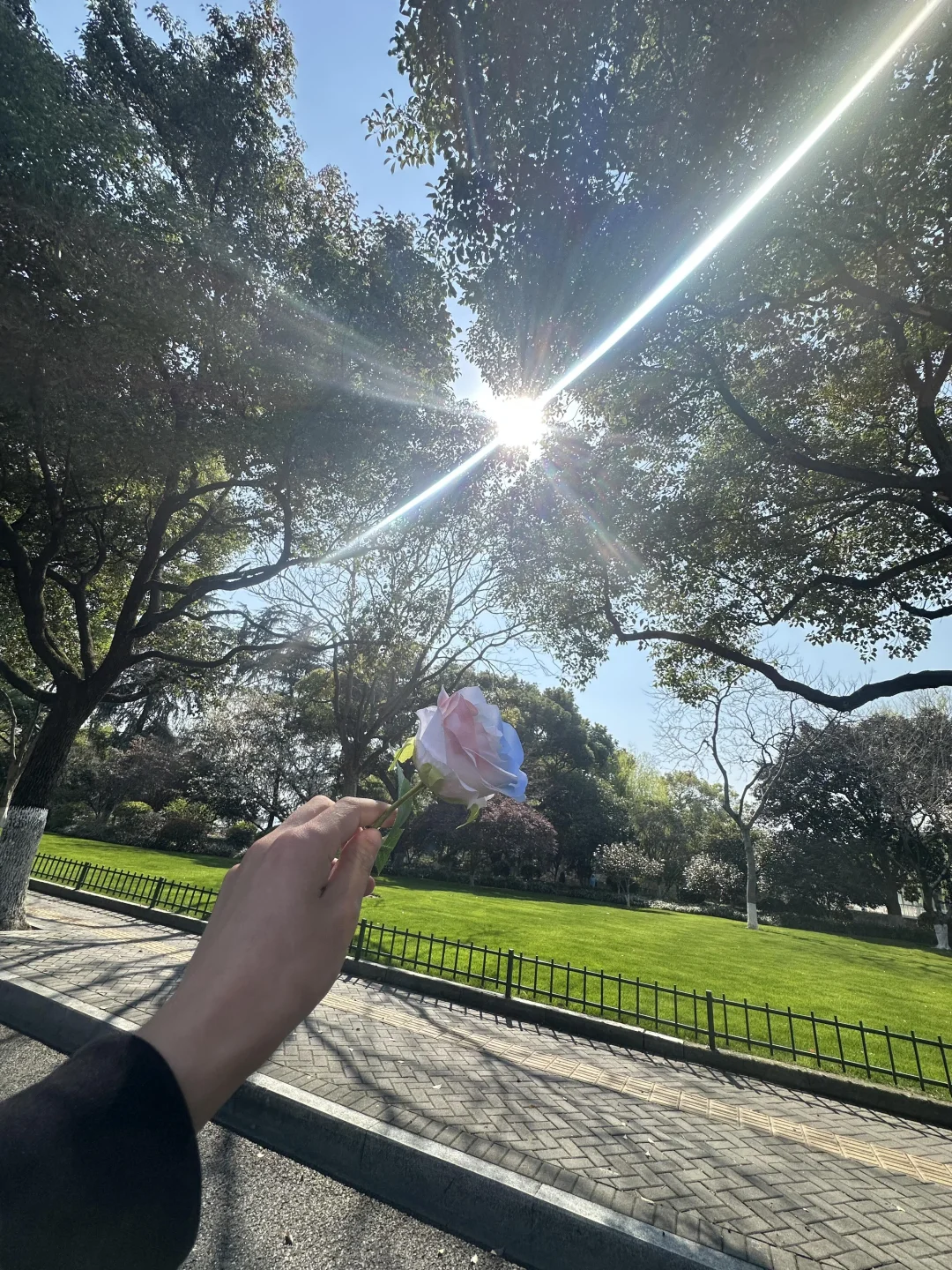 18张爆款live 图 | 高清未使用 喜欢拿