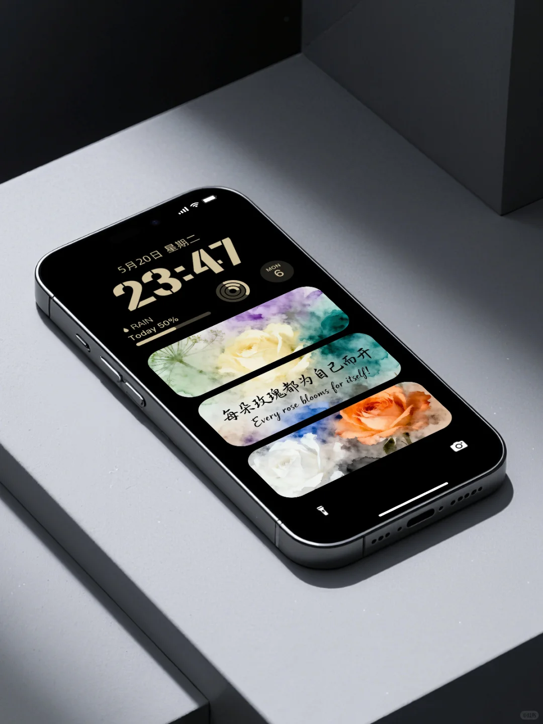 玫瑰为自己而开｜氛围感手机壁纸