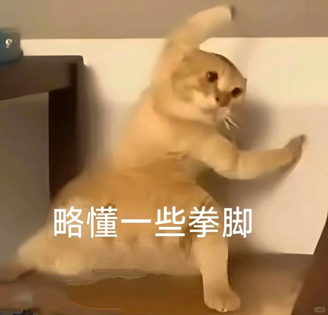 真的好喜欢这个表情包啊啊啊啊阿