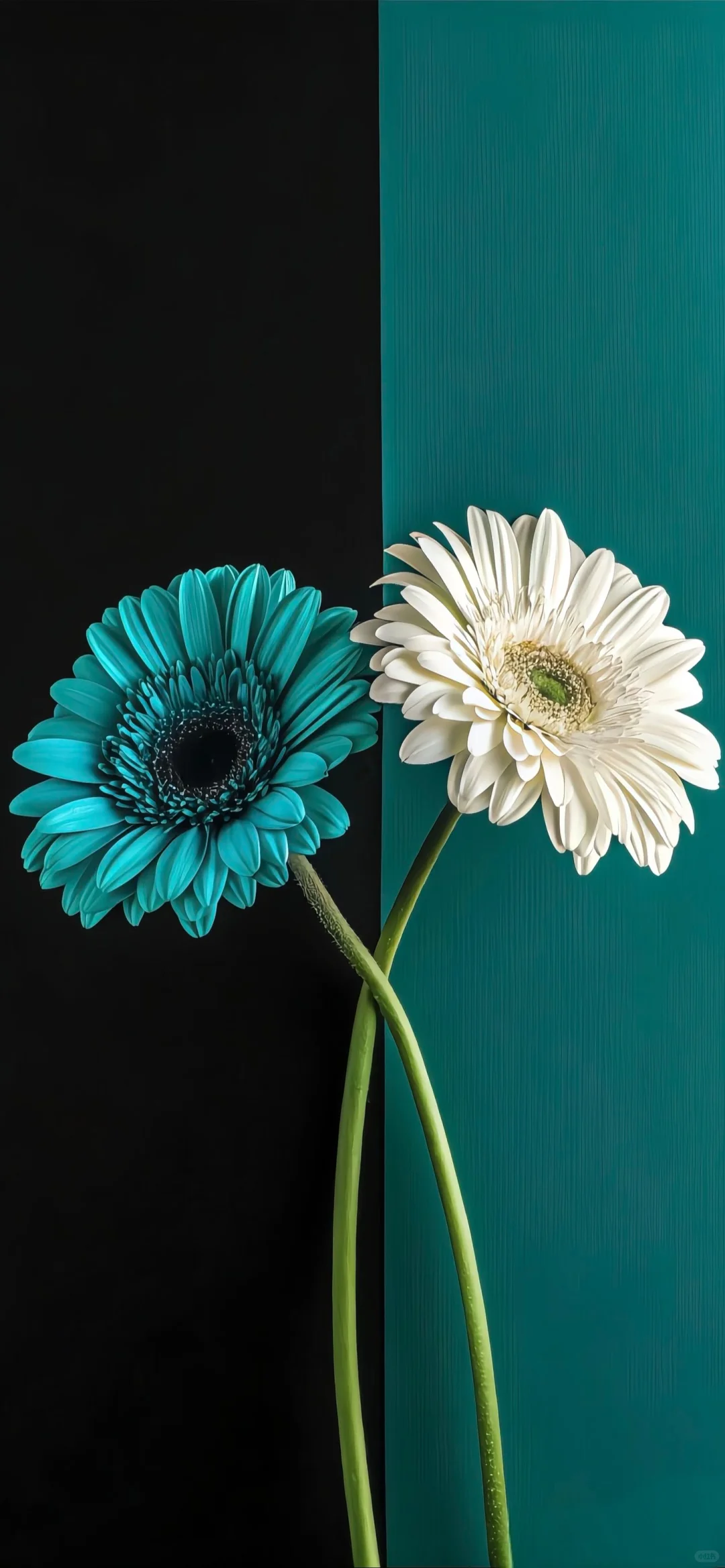 高清壁纸、精选壁纸