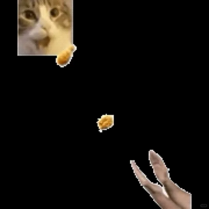 低脂猫猫表情包