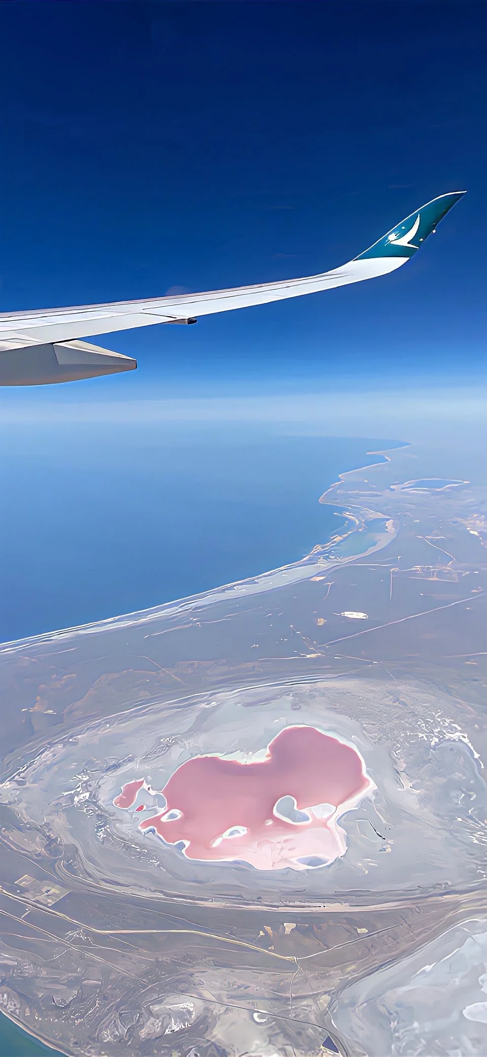 Share🎀ins风壁纸