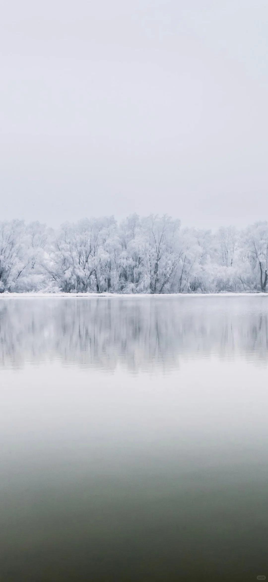 冬天の雪景壁纸❄☃︎ *❆