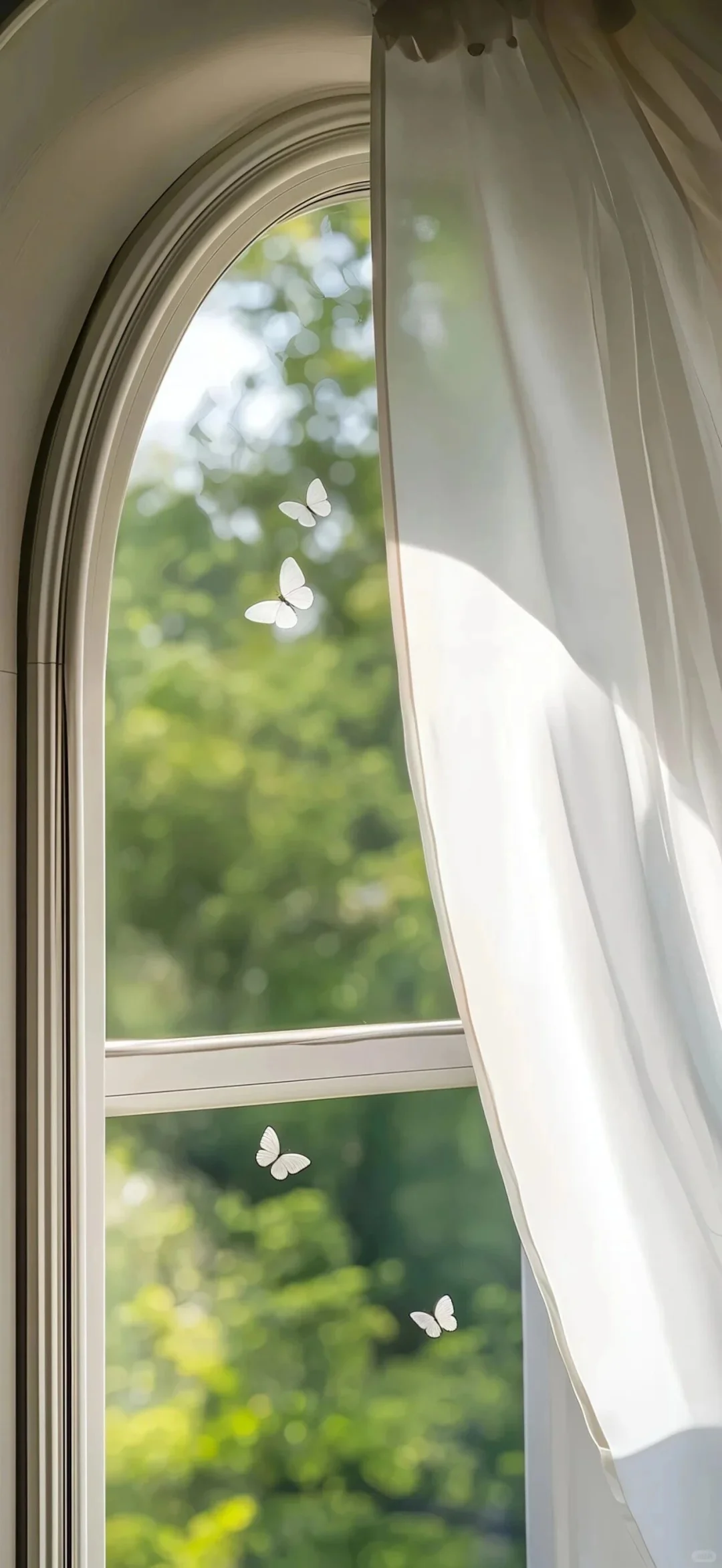 🌊｜高清壁纸🌊