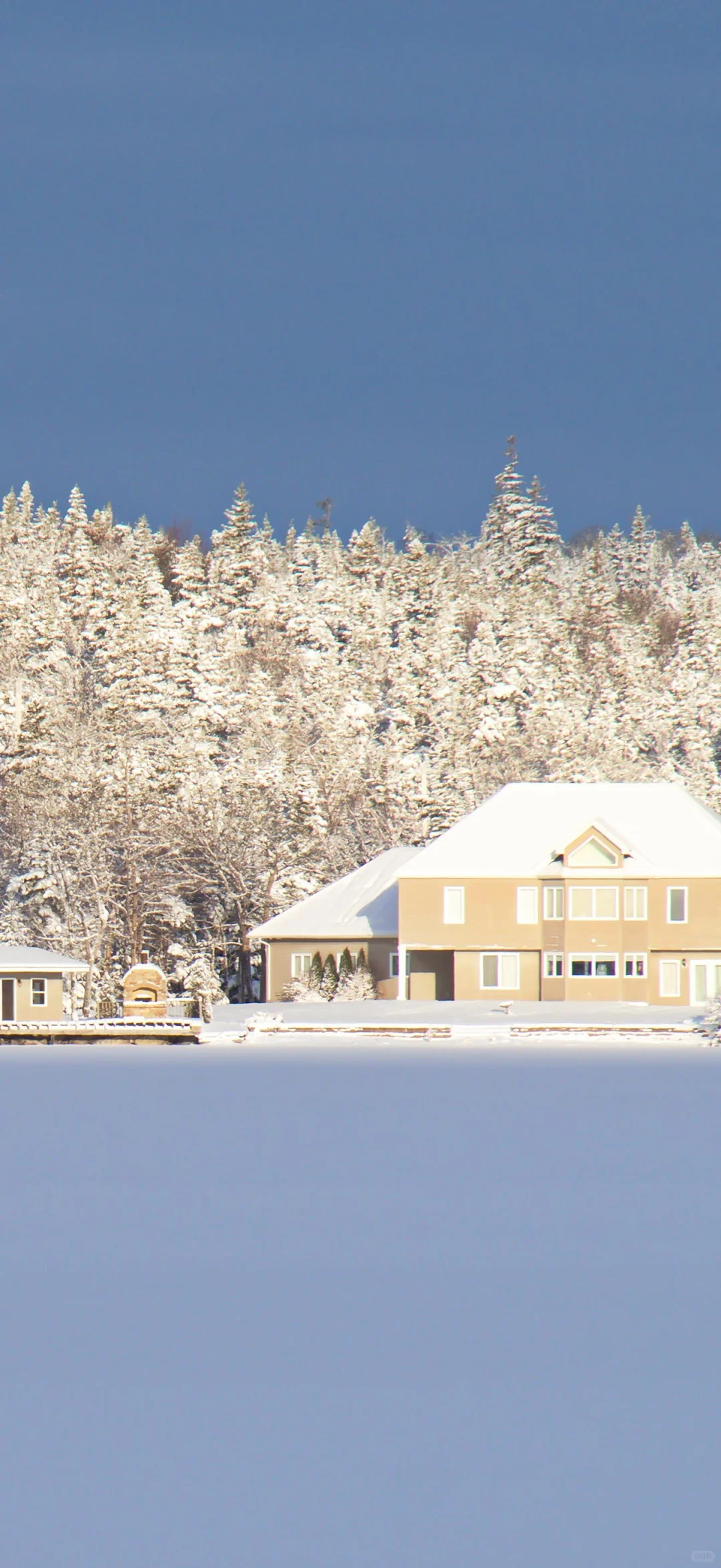 冬天の雪景壁纸❄☃︎ *❆