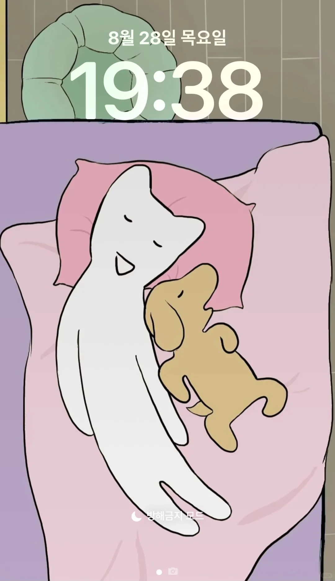 谁还没换上猫猫壁纸!!😍