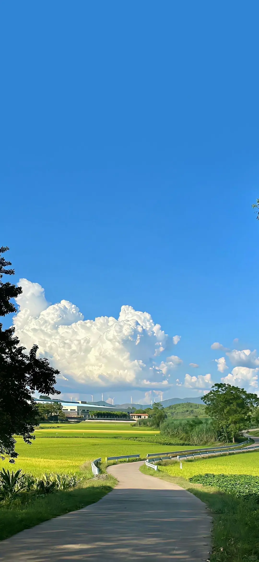 绝美风景壁纸分享✨