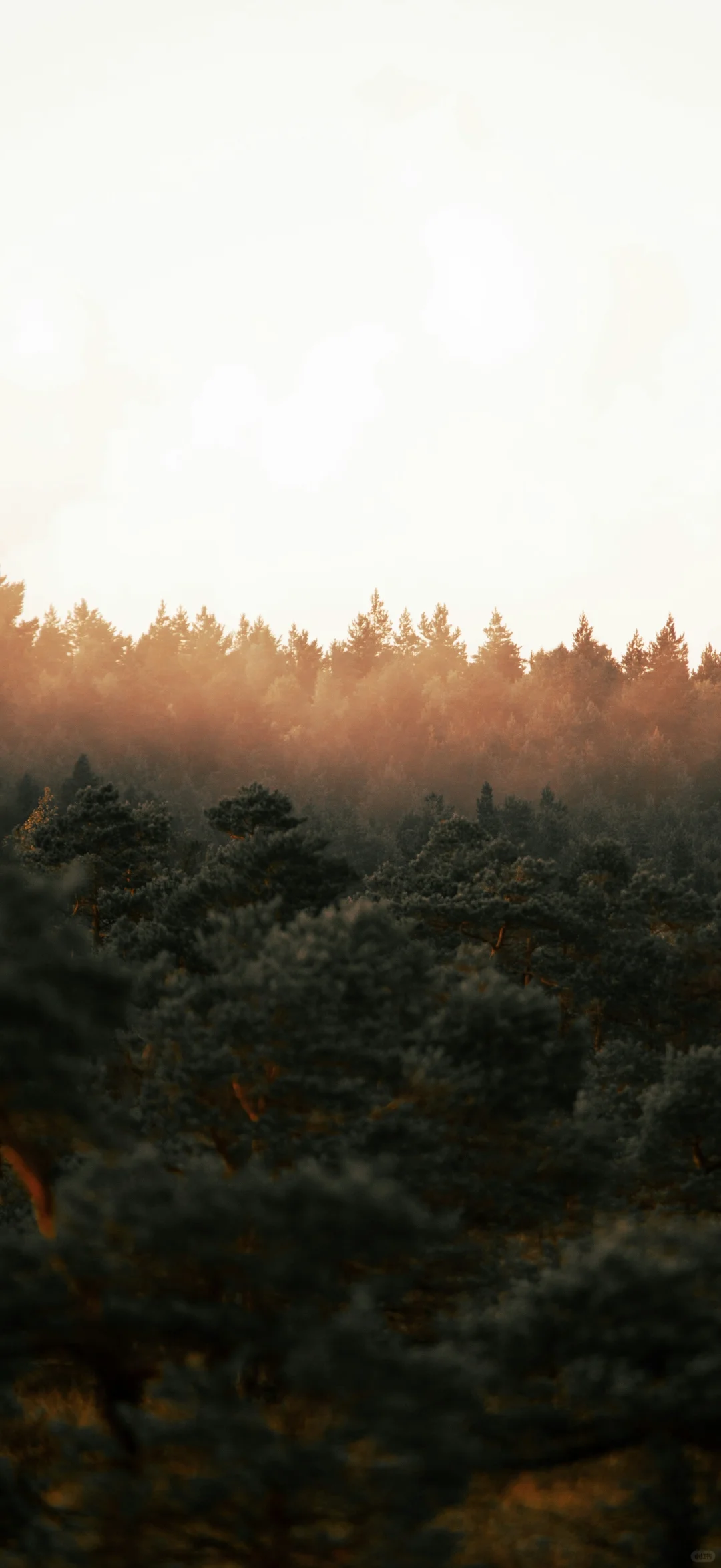 𝙢𝙞𝙨𝙨𝙡𝙮𝙣𝙣丨251107又是一组杂图壁纸