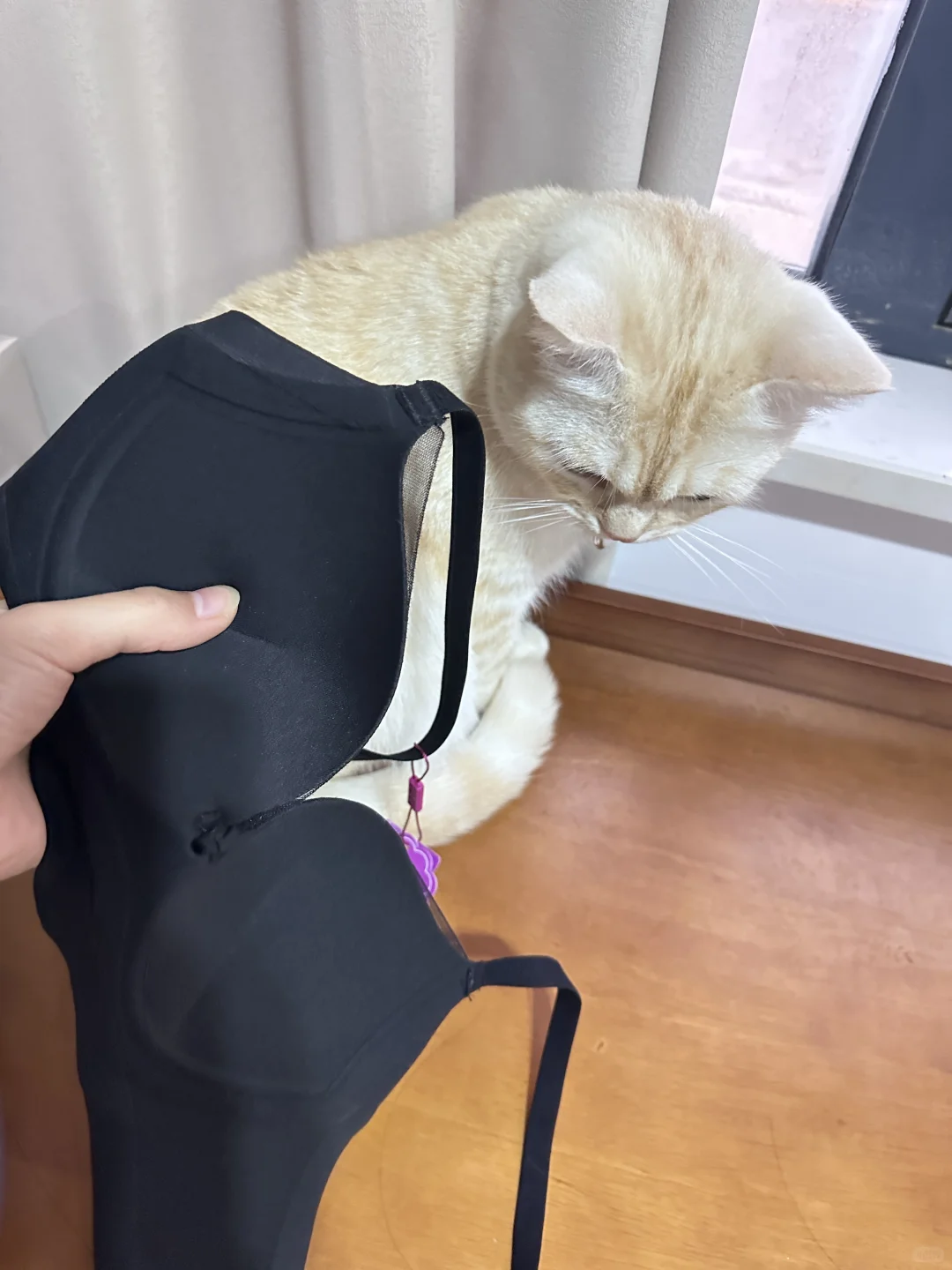 小胸聚拢内衣天花板！！！（秋冬新品）