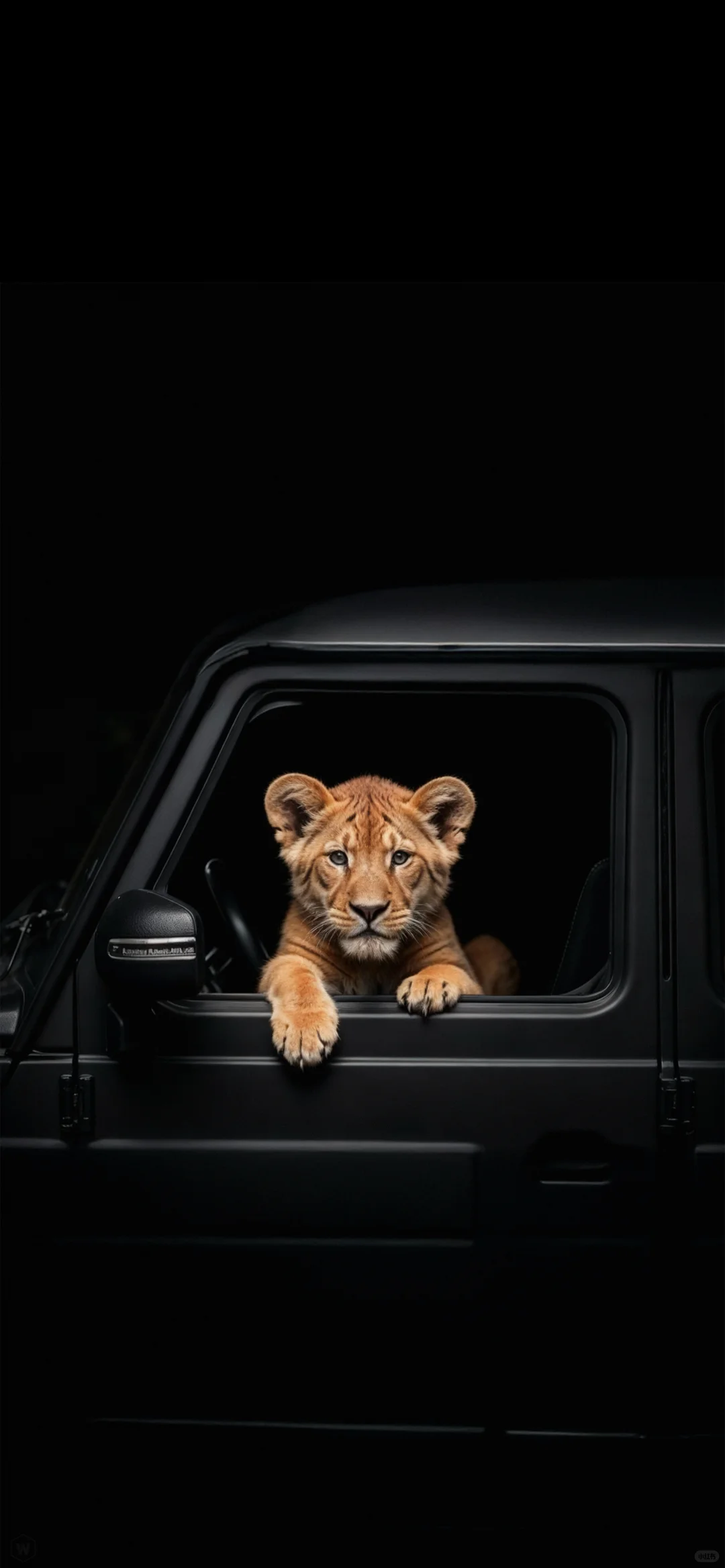 Share | iPhone高级感手机壁纸