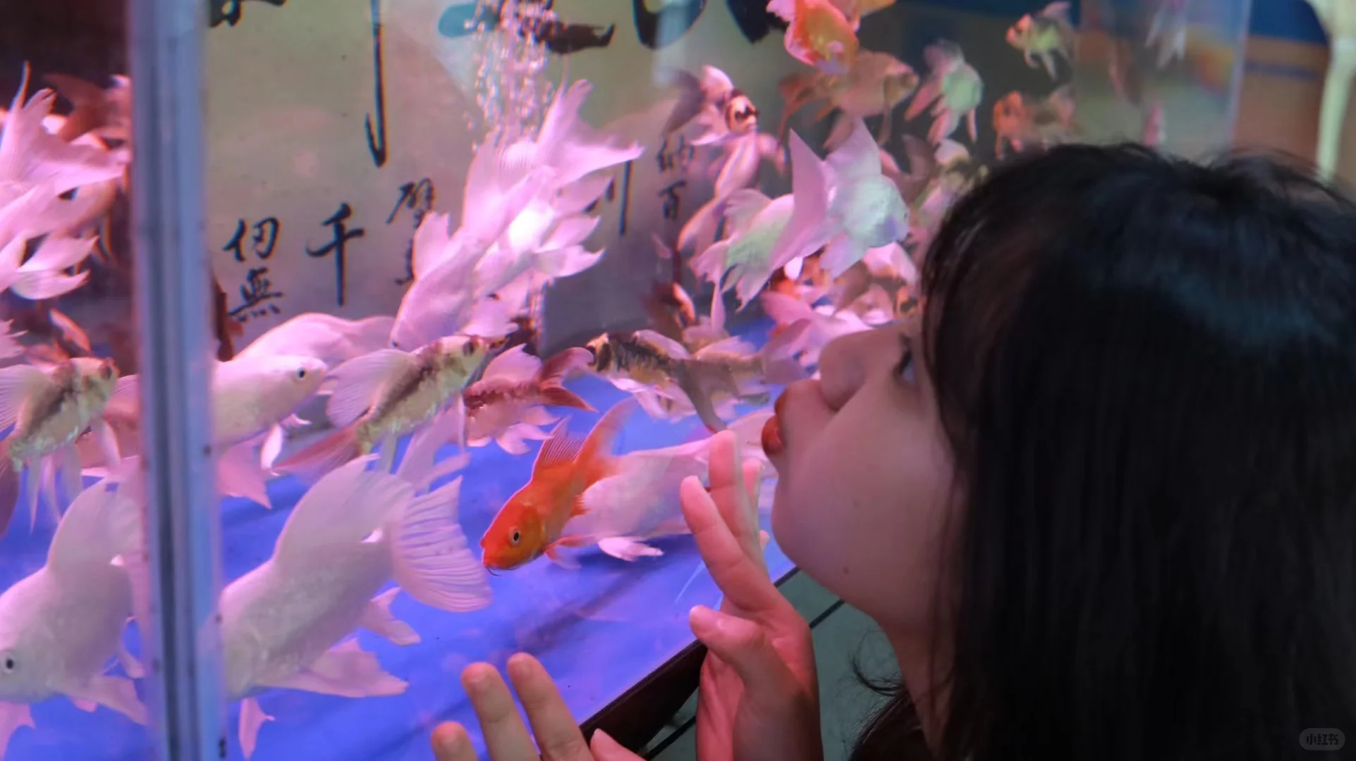 大学期间拍了好多互免写真！