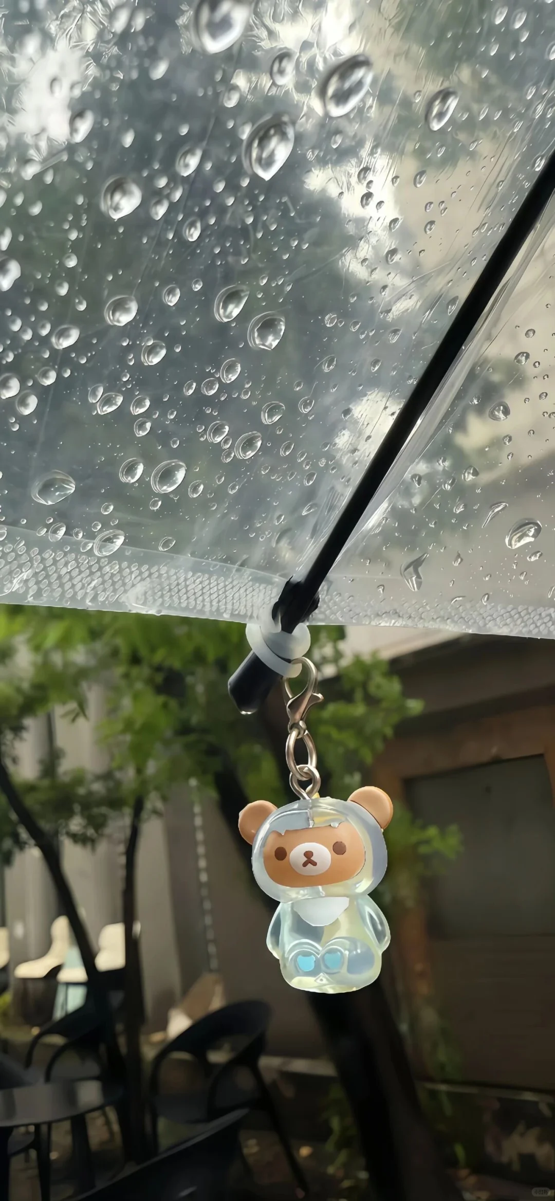 𝕎𝕒𝕝𝕝𝕡𝕒𝕡𝕖𝕣｜壁纸