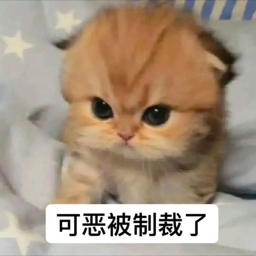 表情包/跟让你快乐的人在一起友谊爱情都是