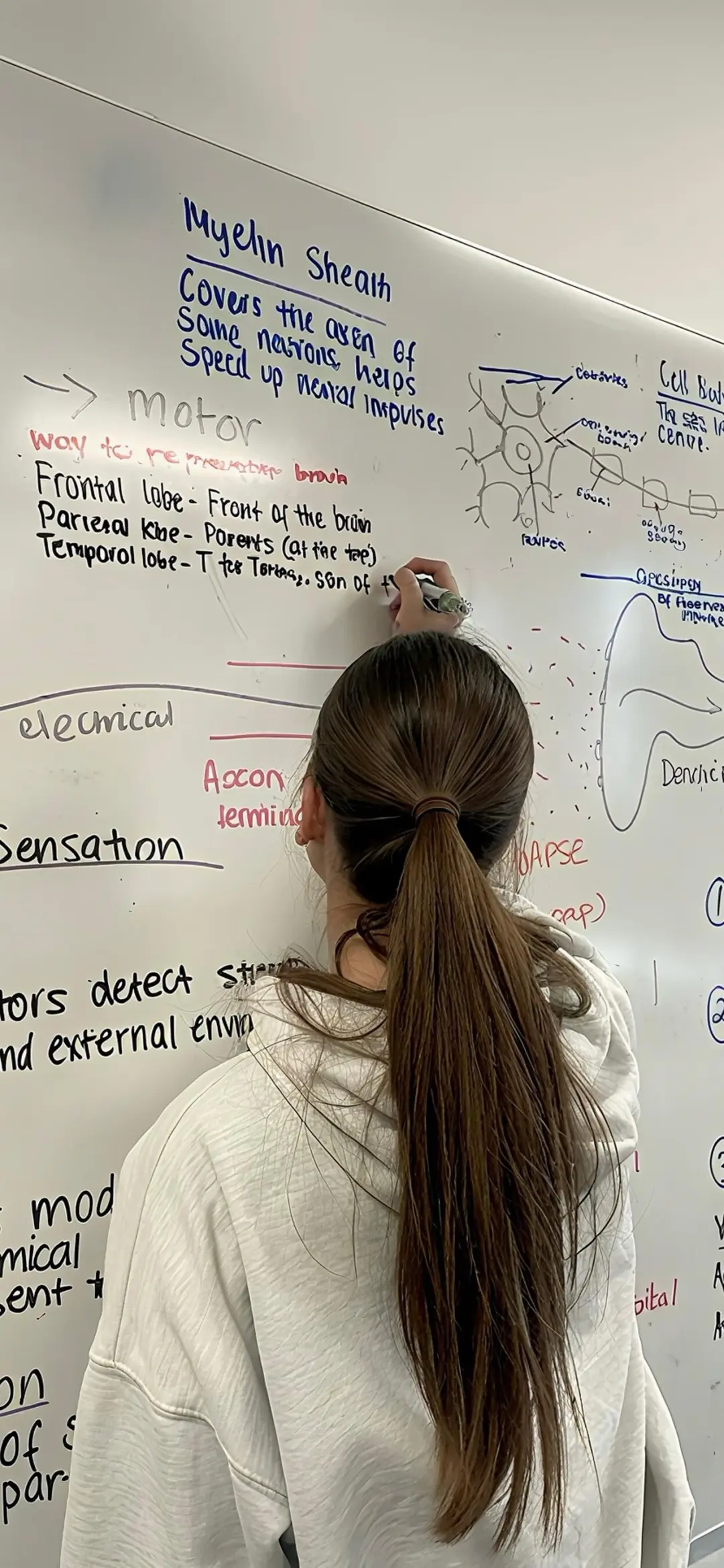 学习上岸小众壁纸松弛感学习📖📚