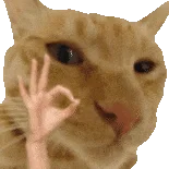 表情包/跟让你快乐的人在一起友谊爱情都是