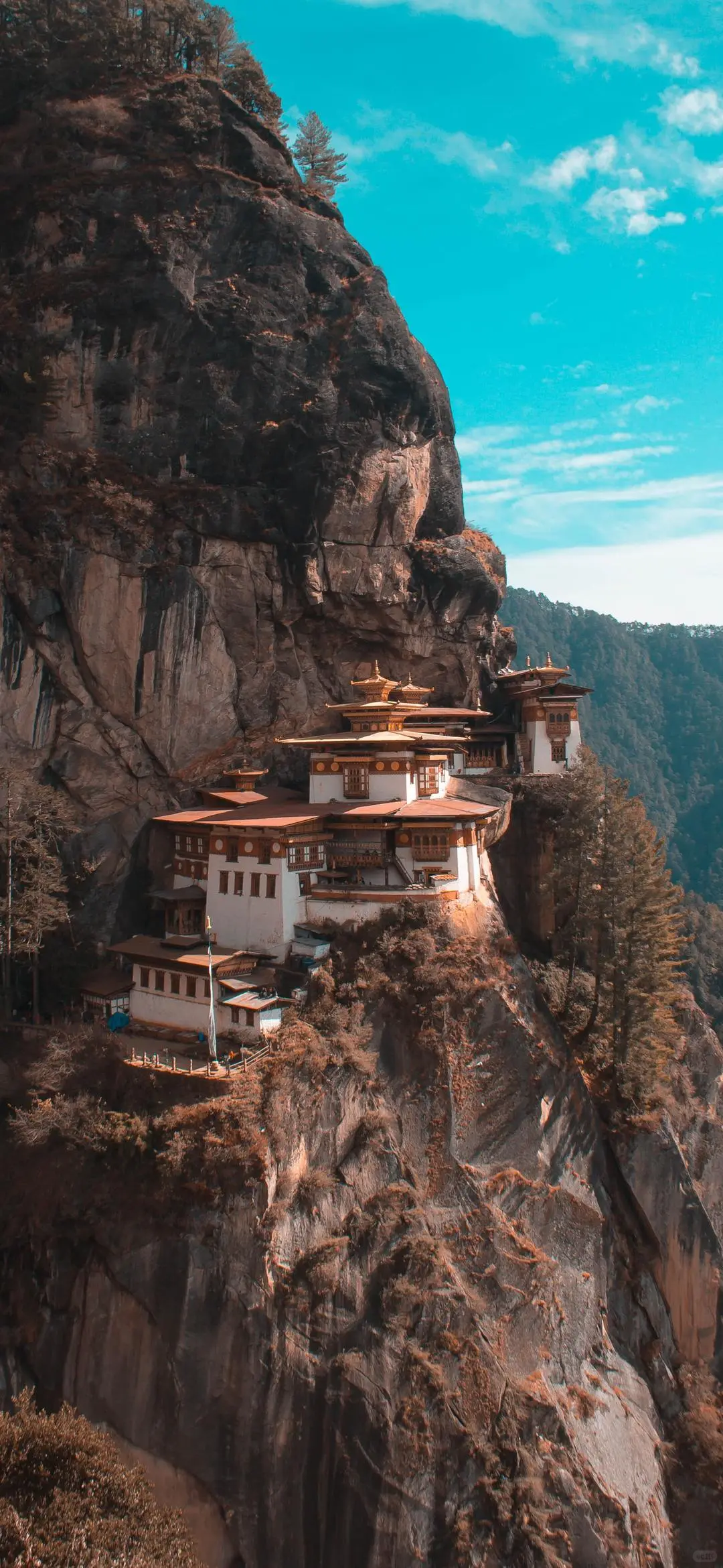 壁纸分享、手机壁纸