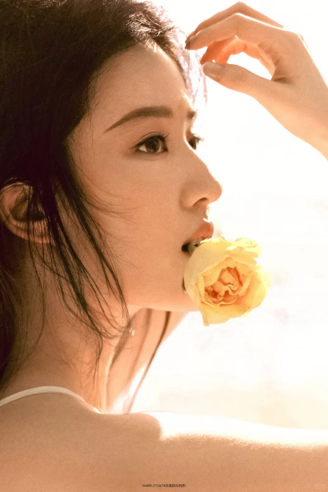 𝑺𝒉𝒂𝒓𝒆｜神仙姐姐