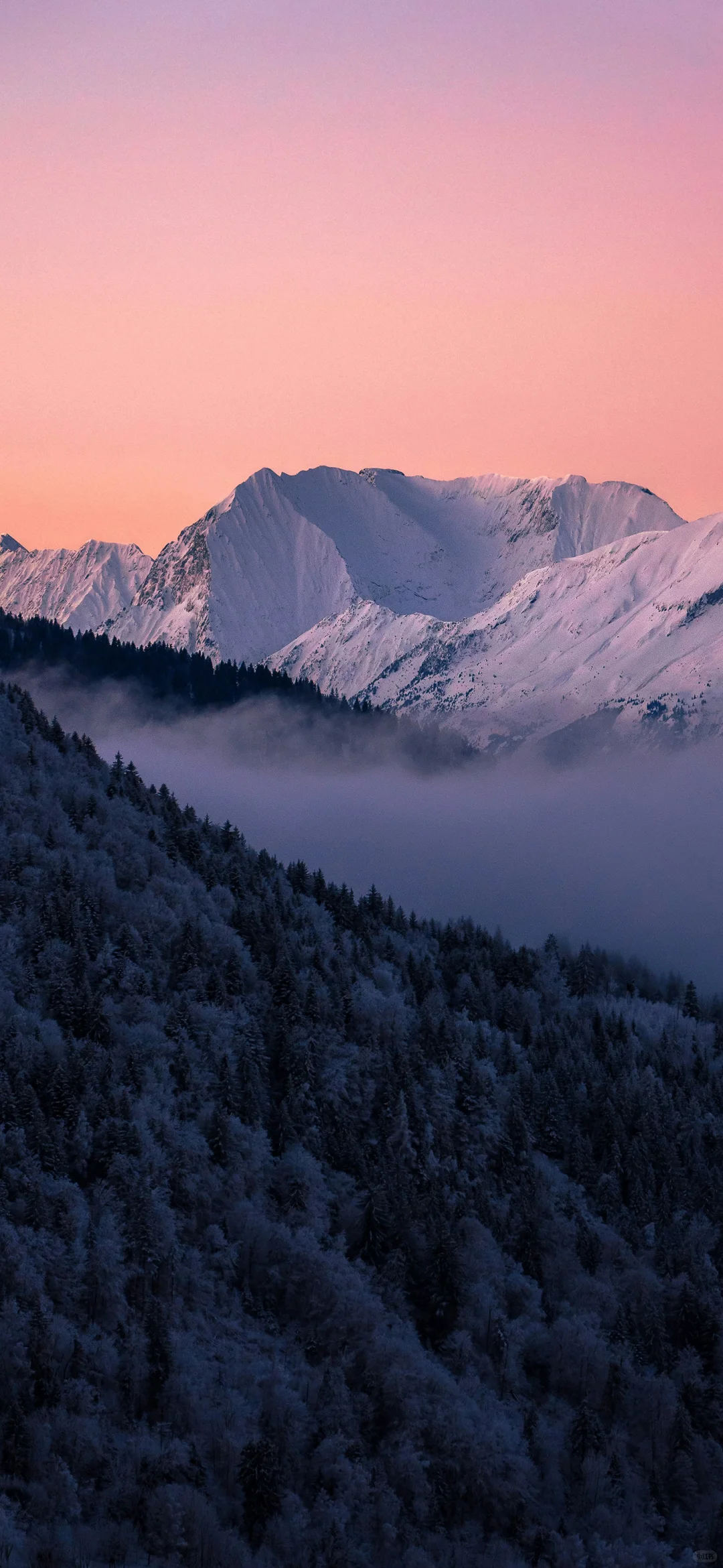 富士山下🗻wallpaper