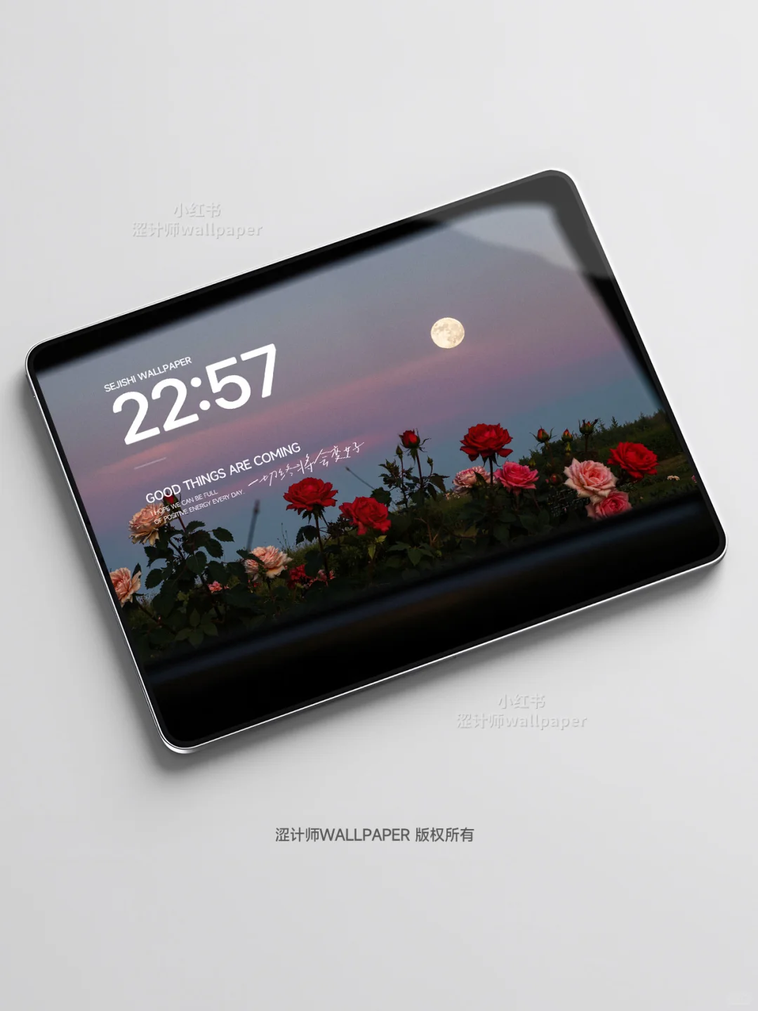 “玫瑰与月光”氛围感平板壁纸｜A209