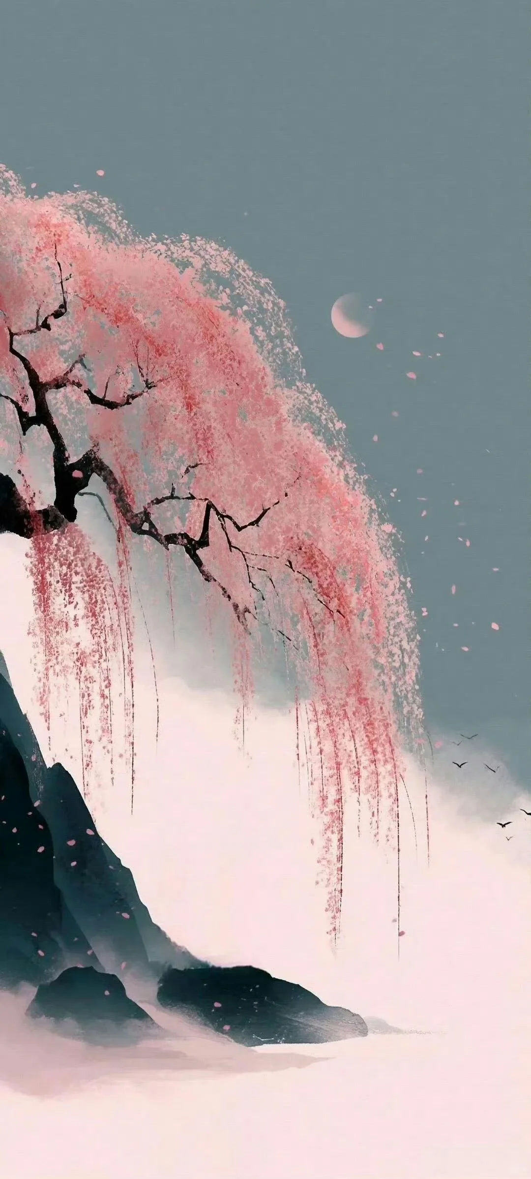 Wallpaper | 超级养眼好看的壁纸~