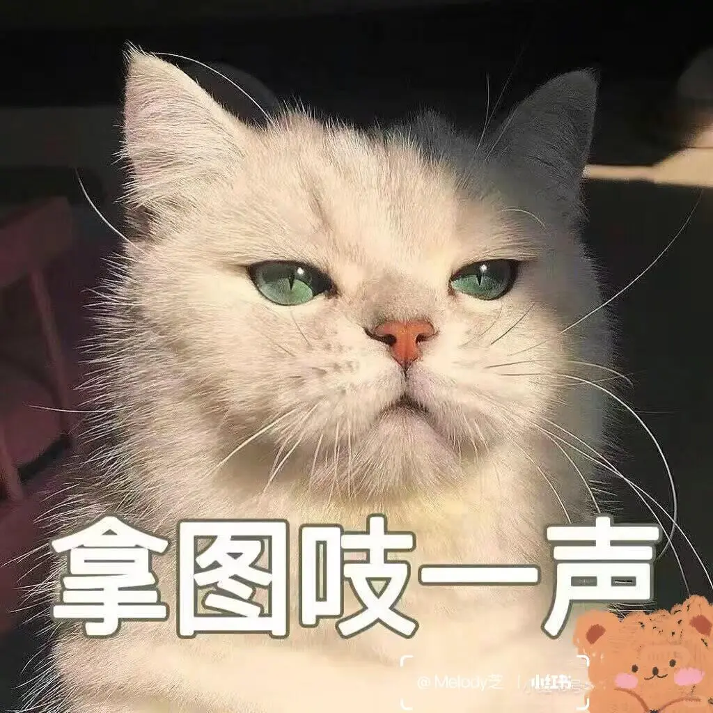 纯欲温柔干净女头